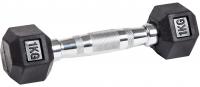 Гантель неразборная гексагональная VF-H010 (1 кг)