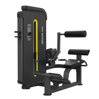 Разгибание спины Bronze Gym BW-3031