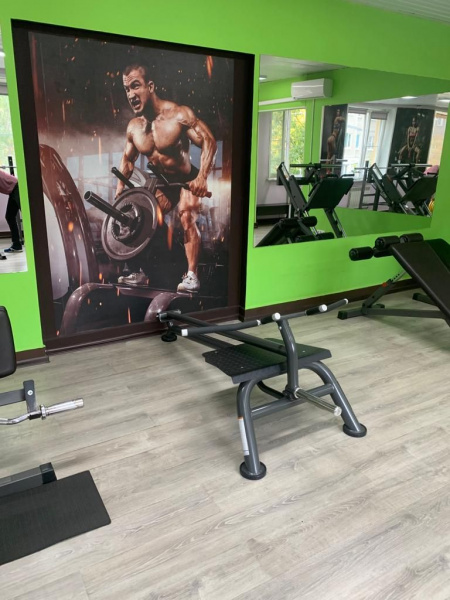 Т-образная тяга Fitex Pro Performance FTX-6236 от магазина Perfect Trainers