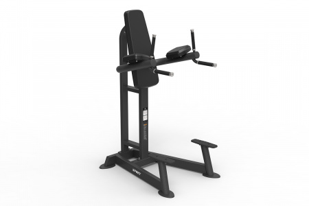 Тренажер брусья пресс Spirit Fitness SP-4215 от магазина Perfect Trainers