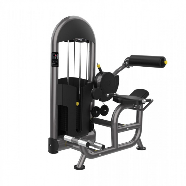 Разгибатель спины Fitex Pro Performance FTX-6217 от магазина Perfect Trainers
