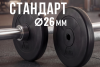 Диск 26 мм. пластиковый  10 кг VictoryFit VF-SPL26100 от магазина Perfect Trainers