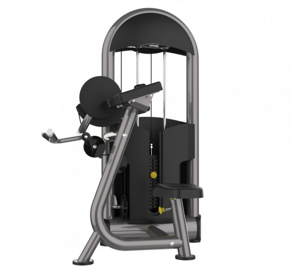 Бицепс машина Fitex Pro Performance FTX-6210 от магазина Perfect Trainers