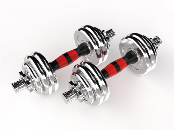 Набор гантелей Unix Fit в кейсе 15 кг от магазина Perfect Trainers
